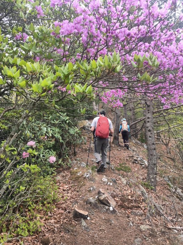 御陵山