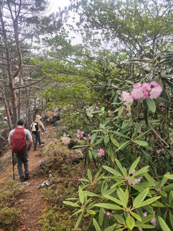 御陵山