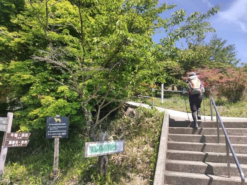 美し森山