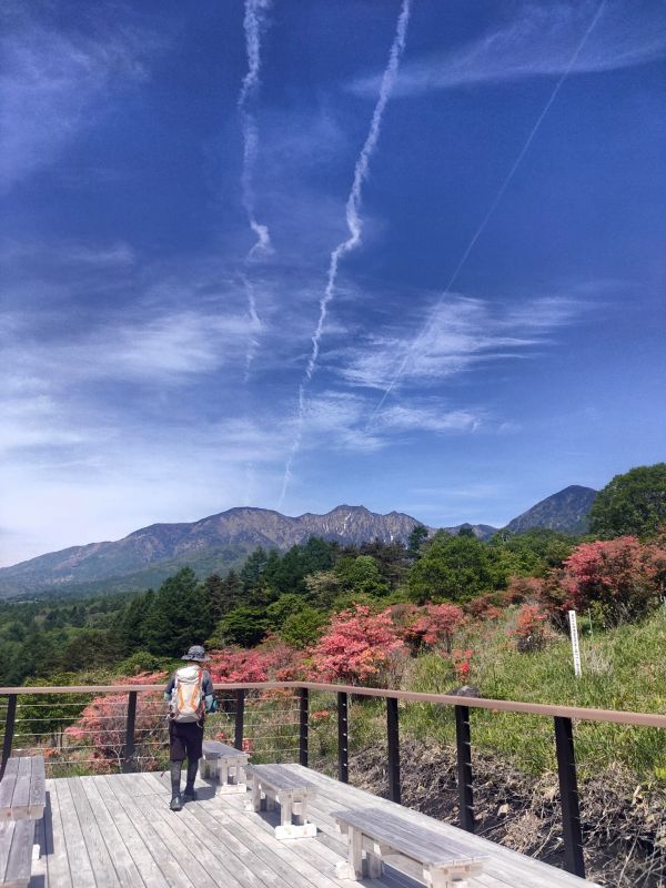 美し森山