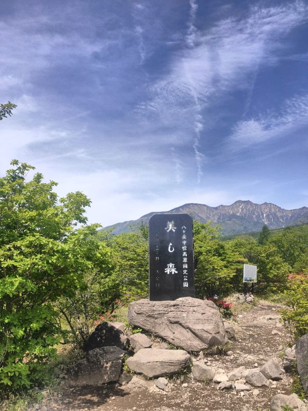 美し森山