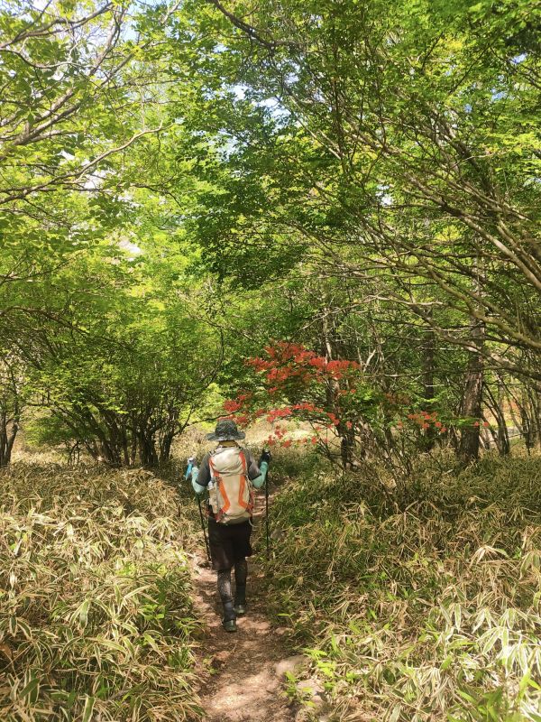美し森山