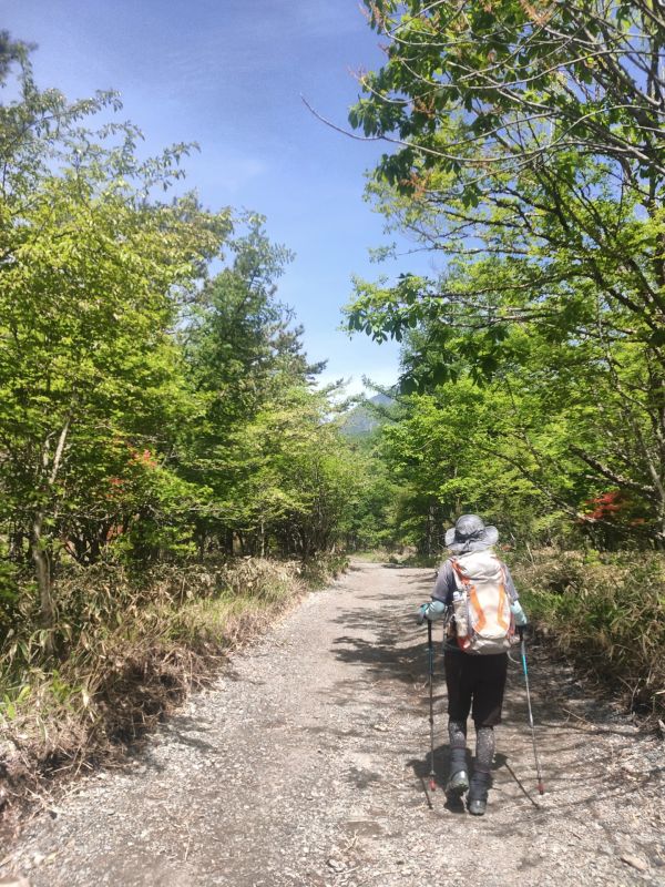 美し森山