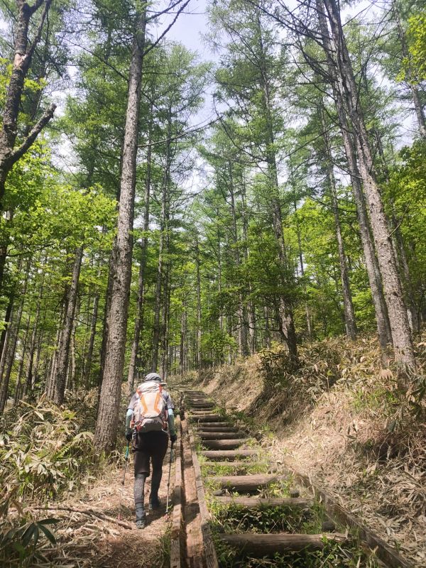 美し森山