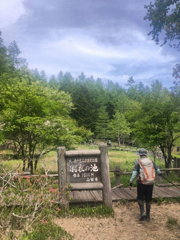 美し森山