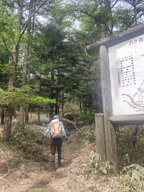 美し森山