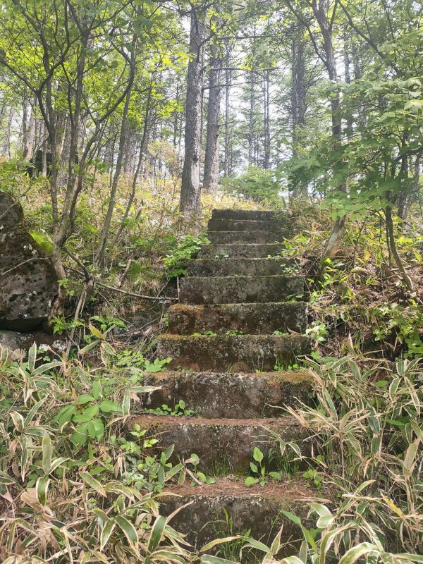 美し森山