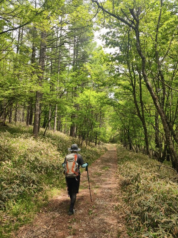 美し森山
