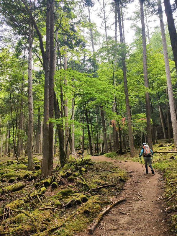 笠取山