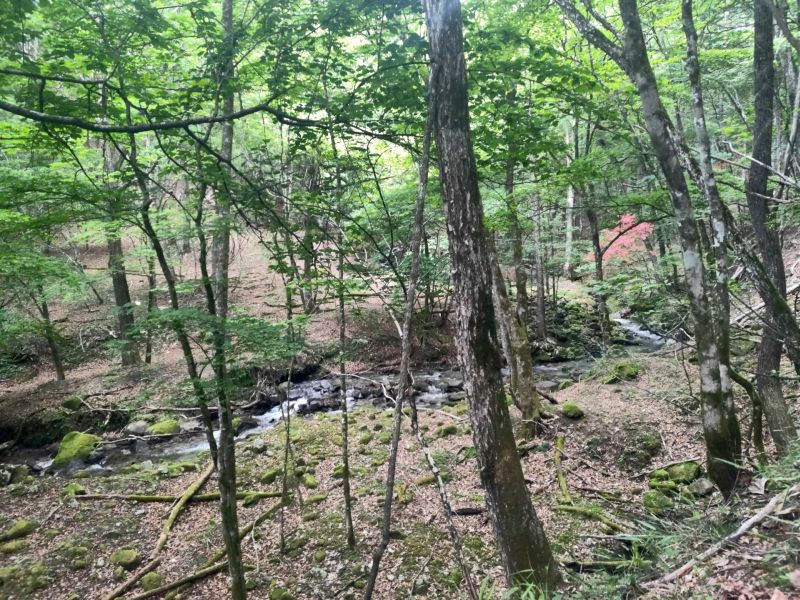 笠取山