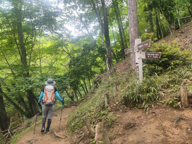 笠取山