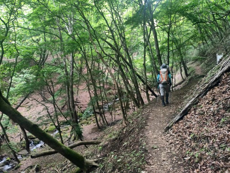 笠取山