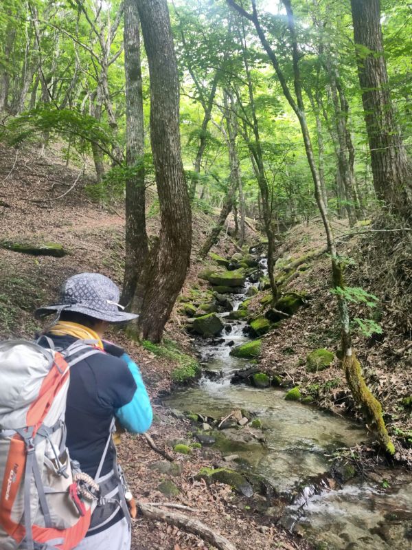 笠取山