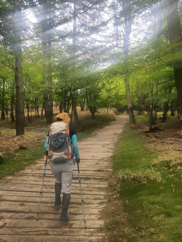 笠取山