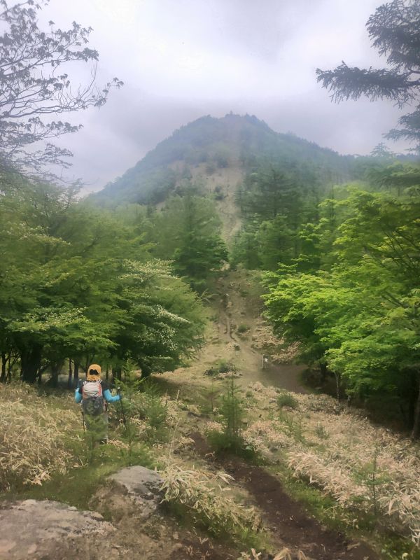 笠取山