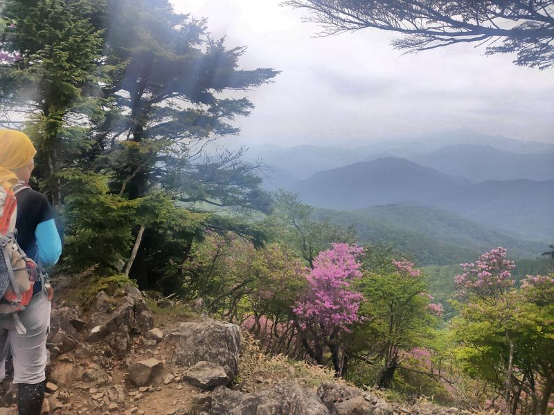 笠取山
