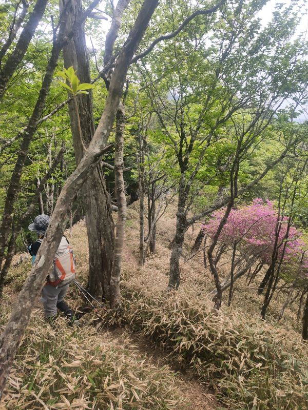 笠取山