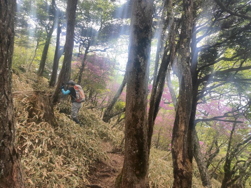 笠取山