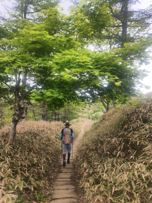 笠取山