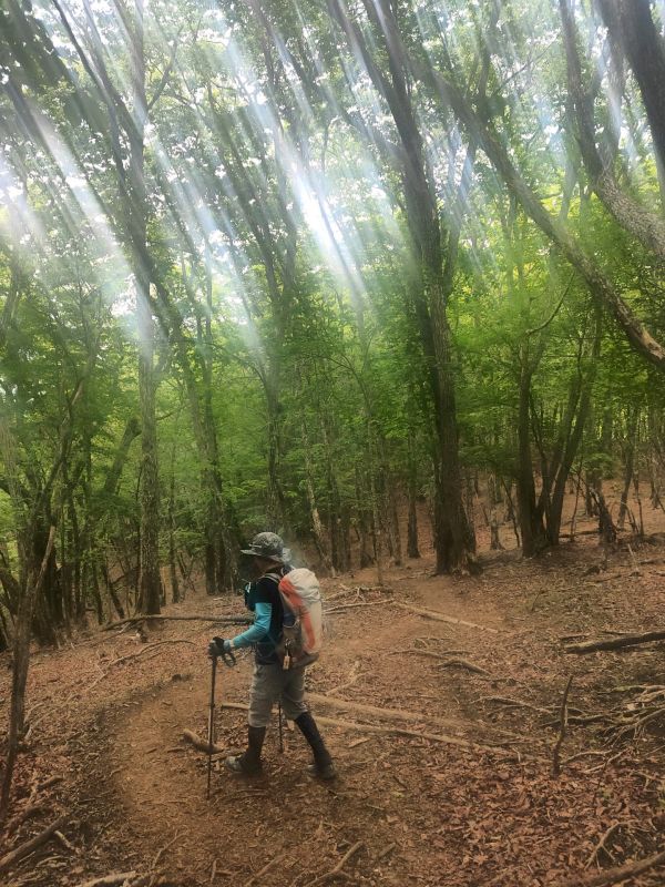 笠取山
