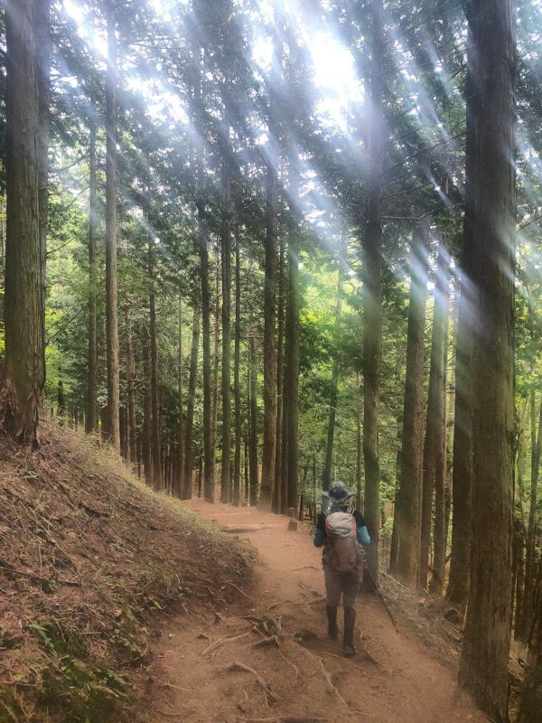 笠取山
