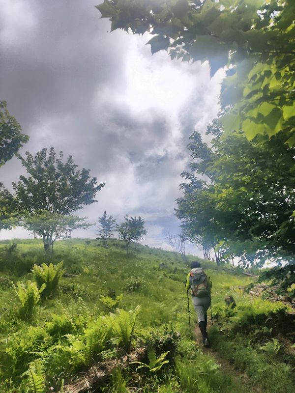守屋山