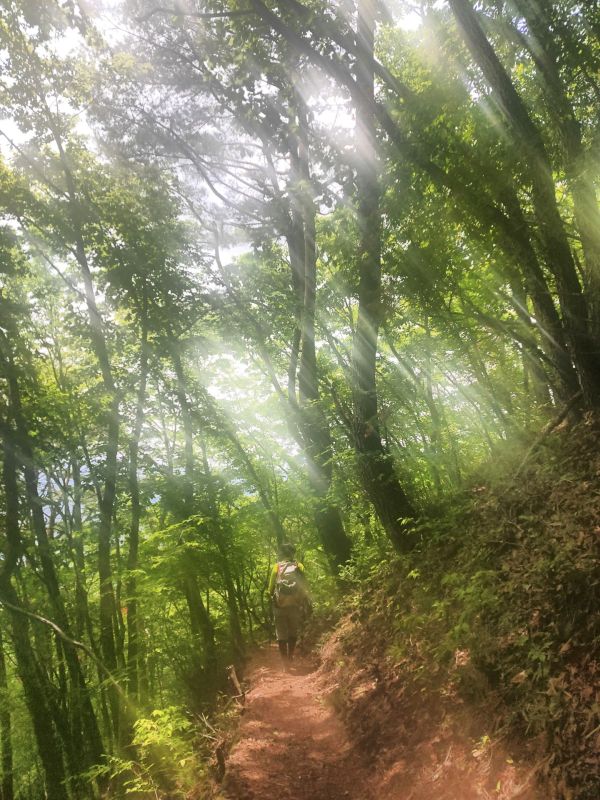 守屋山