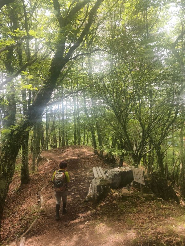 守屋山