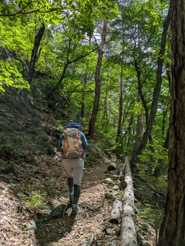 大泉山