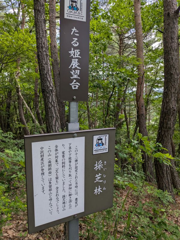 大泉山