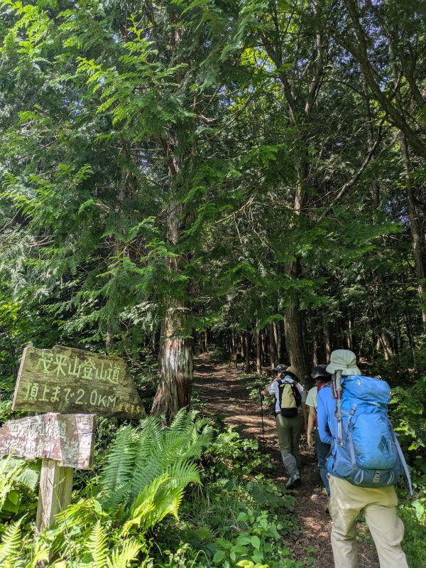 茂来山
