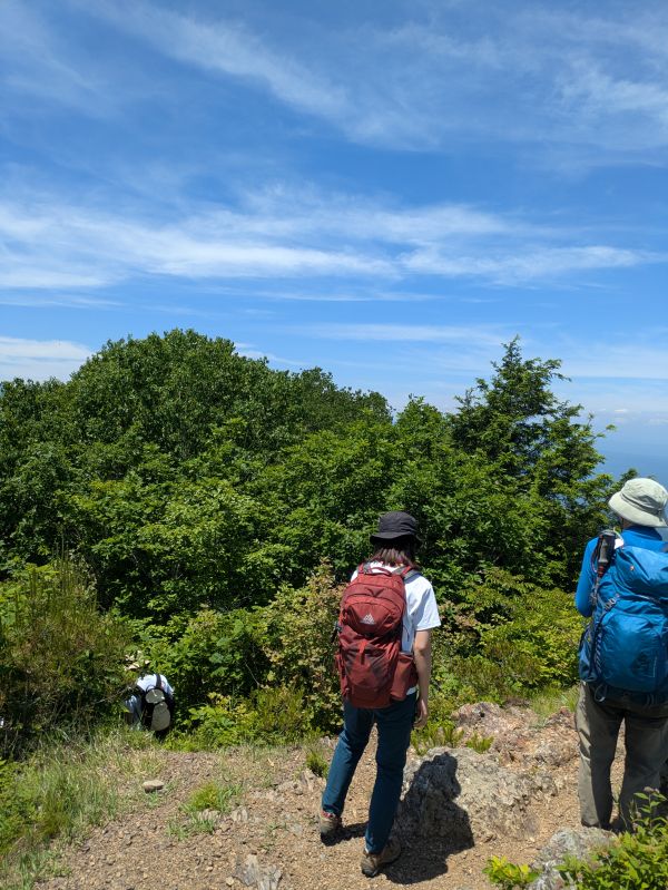 茂来山