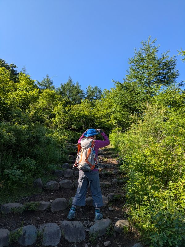 平沢山
