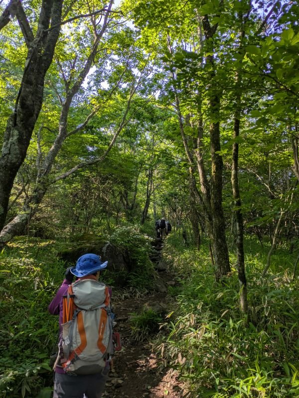 平沢山