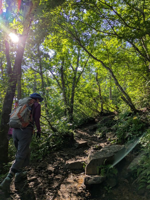 平沢山
