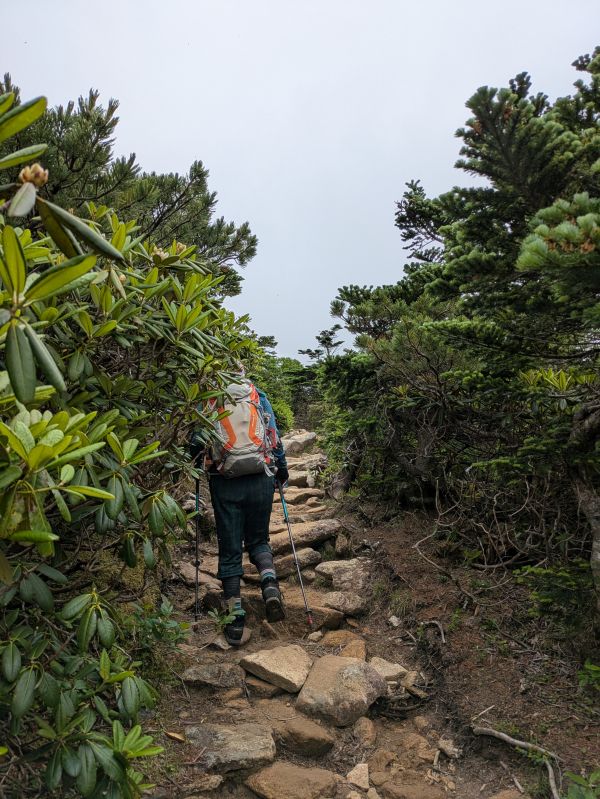 金峰山