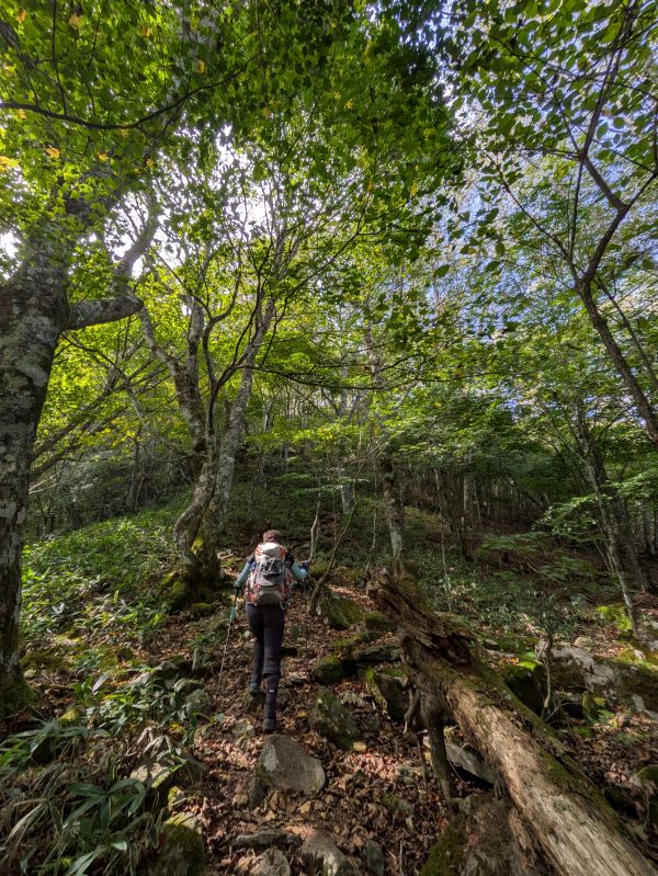 高登谷山