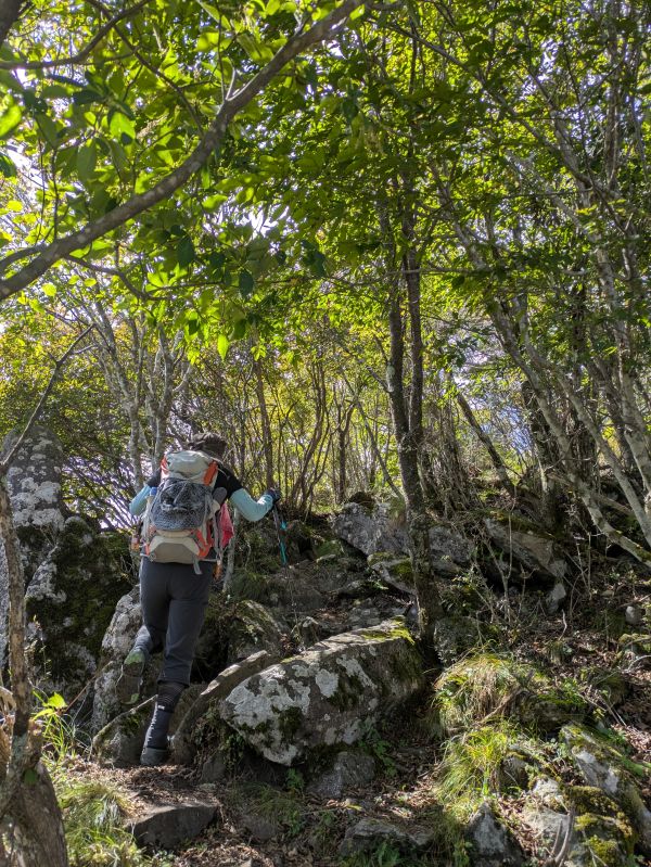 高登谷山