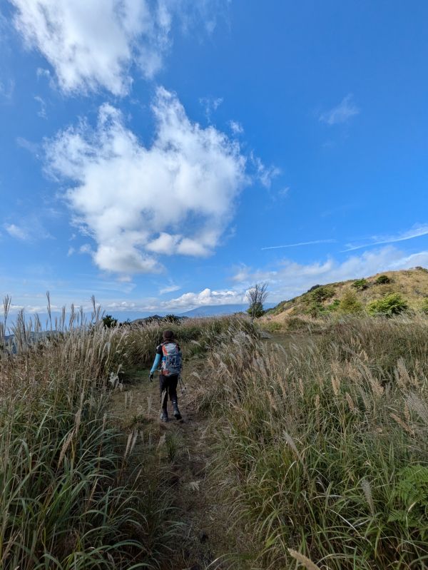 高登谷山