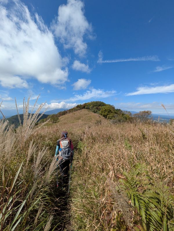 高登谷山