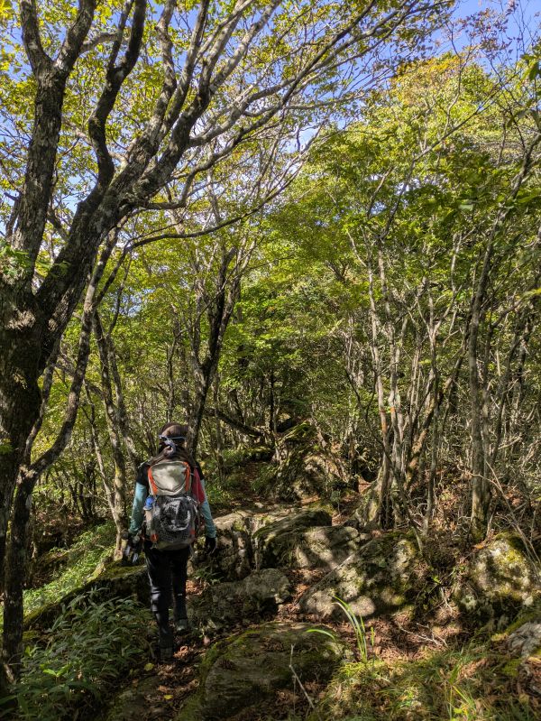 高登谷山