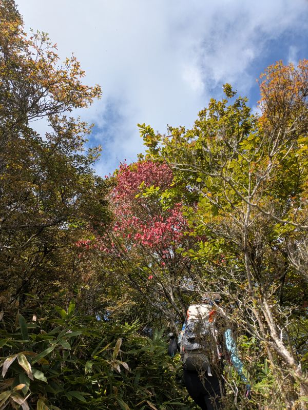 高登谷山