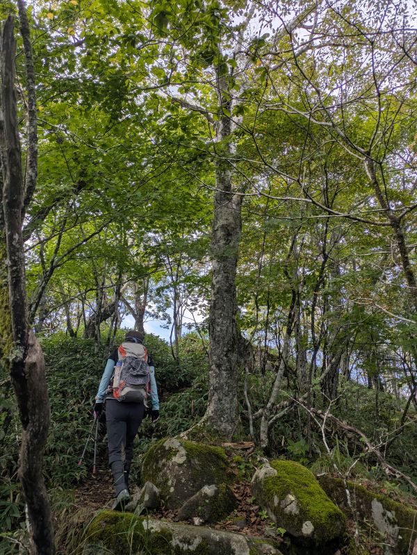 高登谷山