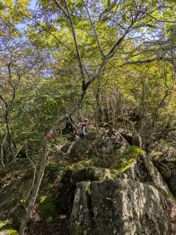 高登谷山