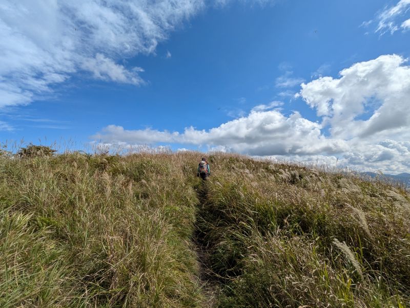 高登谷山