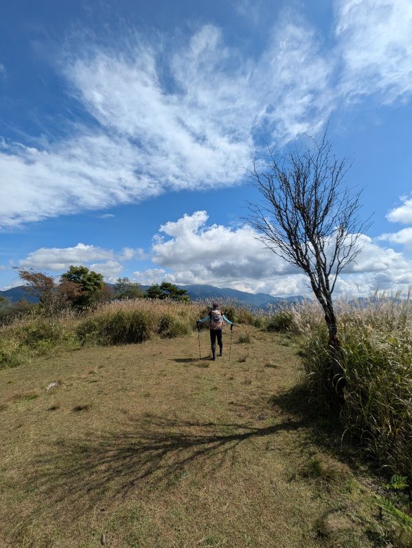高登谷山