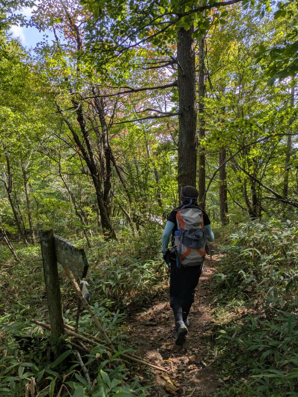 高登谷山