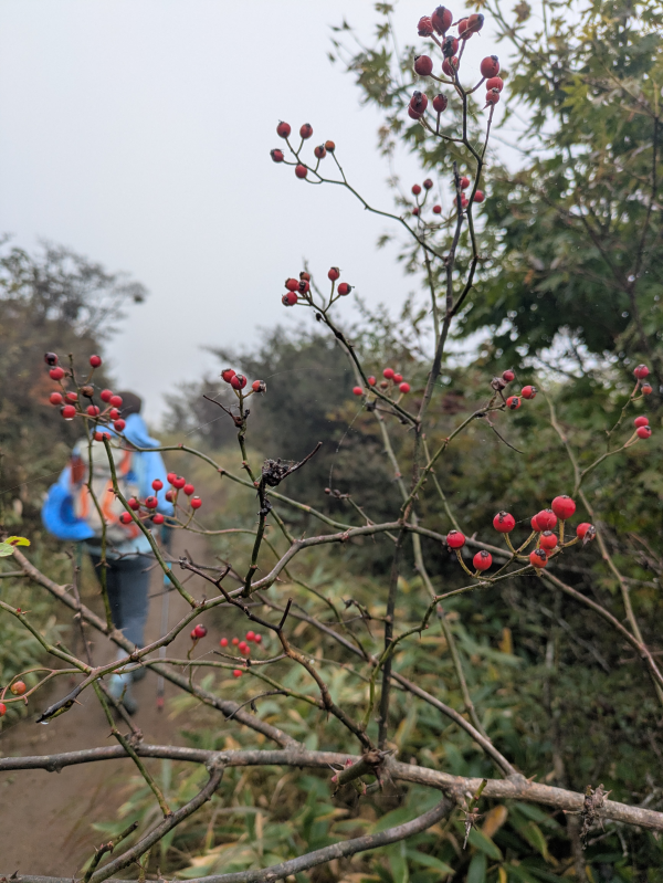 飯盛山