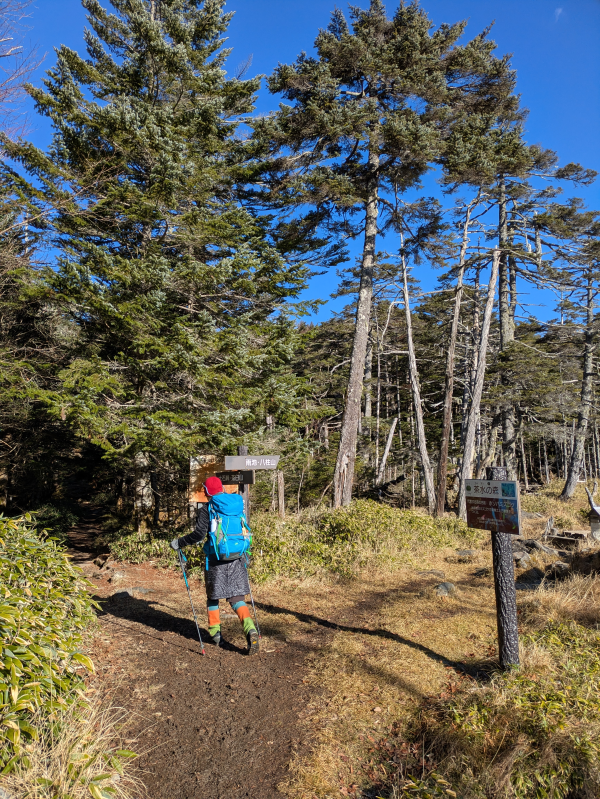 茶臼山・縞枯山