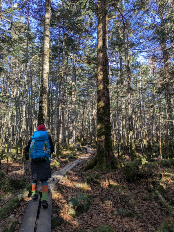 茶臼山・縞枯山